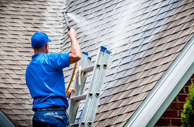 franklin roof cleaning
